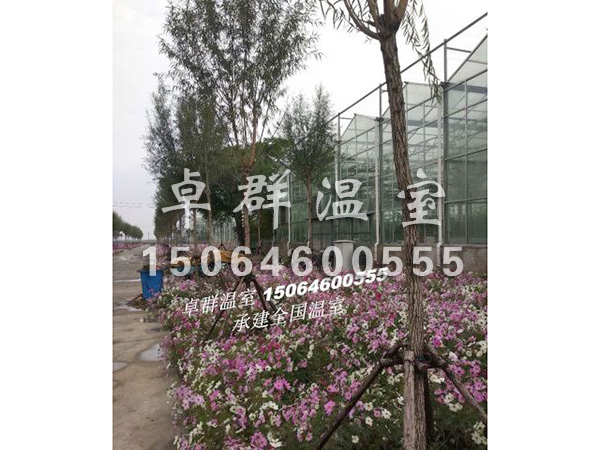 天津市西青區水生植物園.jpg