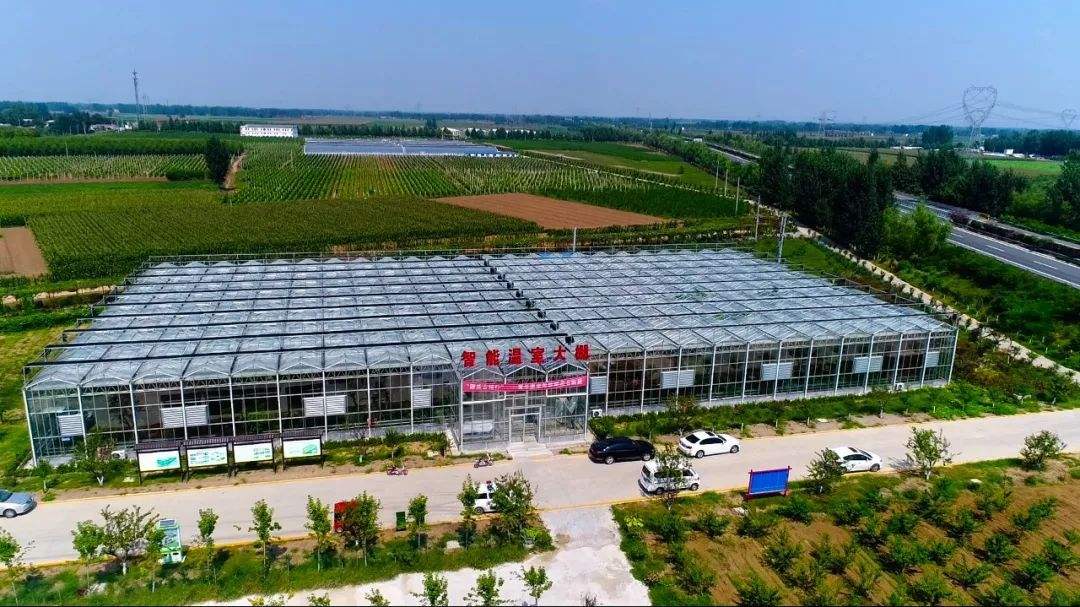 智能溫室大棚種植技術正在改變的人們的生活