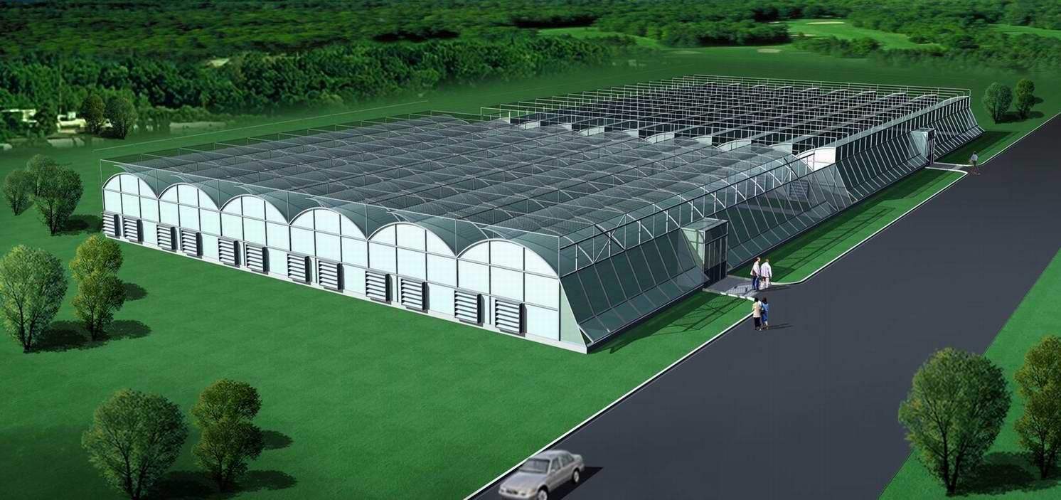 溫室大棚的搭建方法