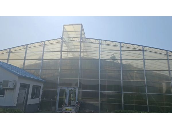 日光溫室